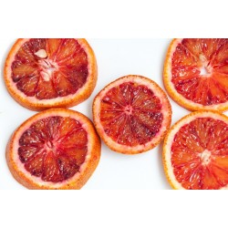 Mandarine Rouge BIO - 28