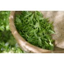 Tea Tree BIO 10ml / 30ml / 100ml