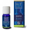Eucalyptus Radiata BIO 30ml