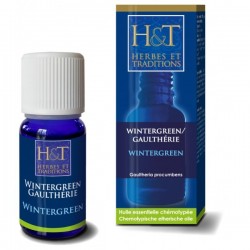 Wintergreen Gaulthérie Couchée BIO - 20